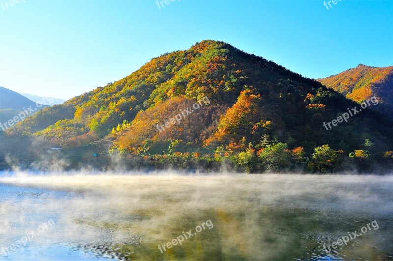 Autumn Leaves Lake Water Mist Reflect Free Photos