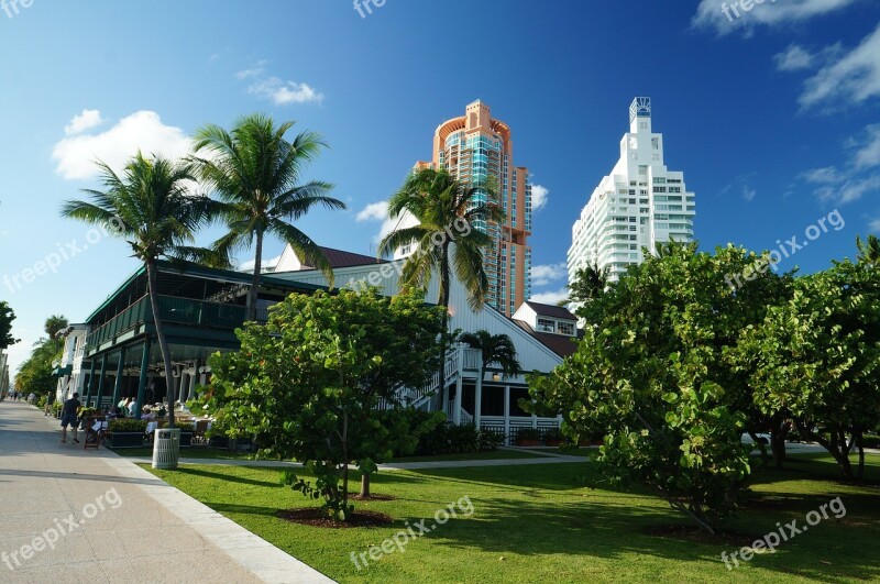 Miami Florida Buildings Blue Sky Lawn