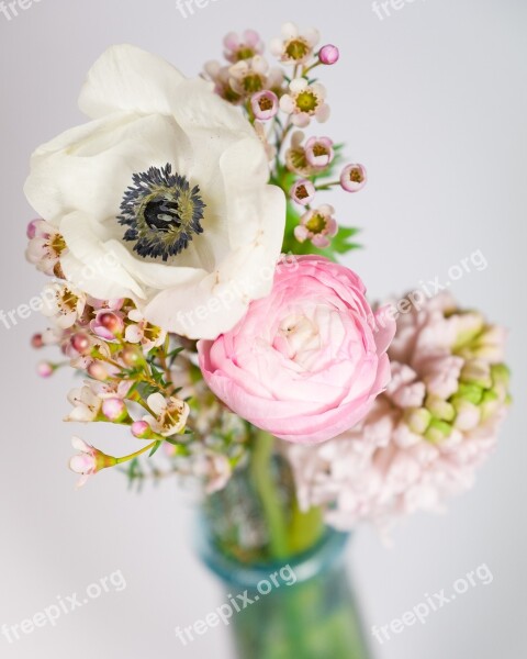 Flowers Bouquet Bokeh Anemone Buttercup