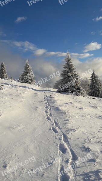 Path Footprints Hike Tourism Sun