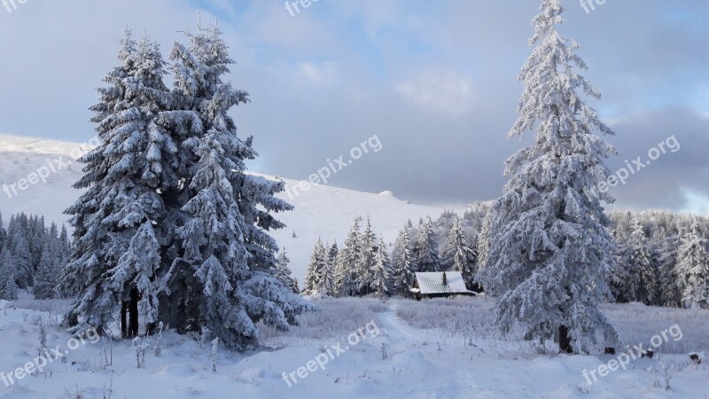 The Little Cottage Cottage Chalet Loneliness Abandoned