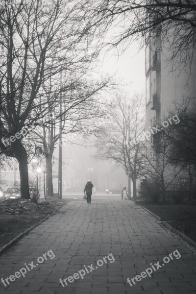 Smog City Walkway Street Building