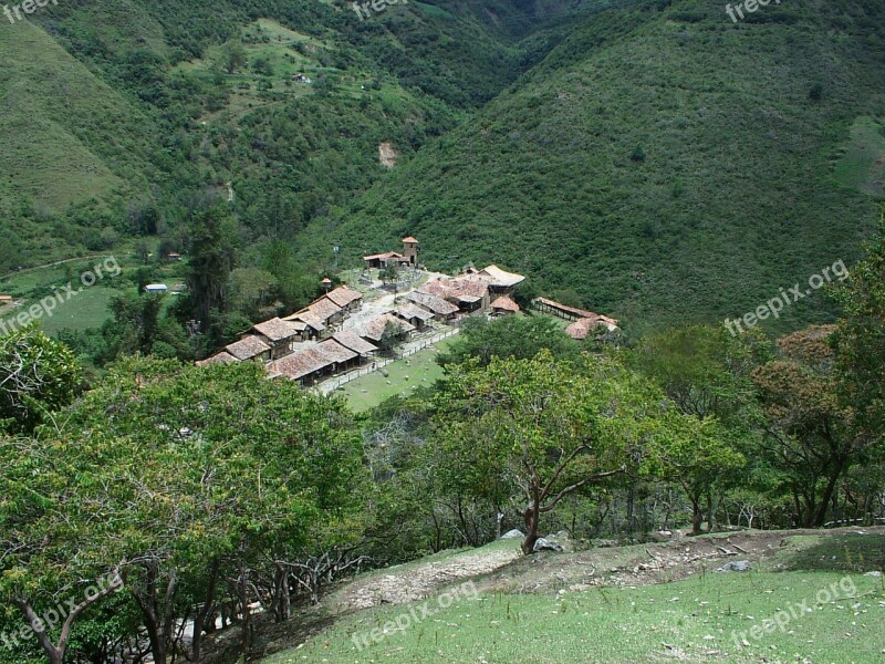 Paisaje Vegetación Campo Montana Vegetation