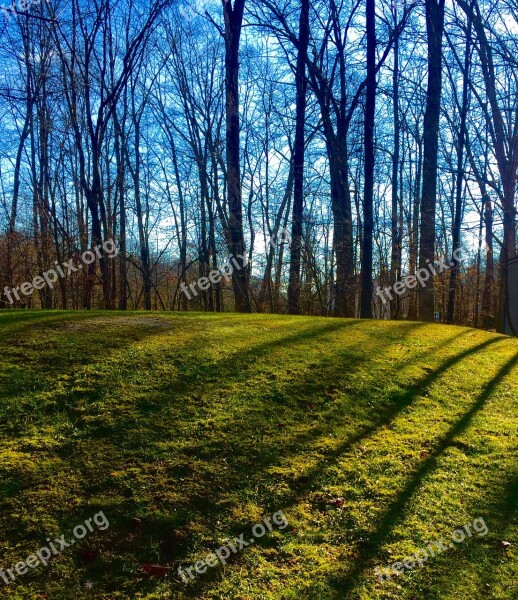 Shadows Trees Season Scenic Light