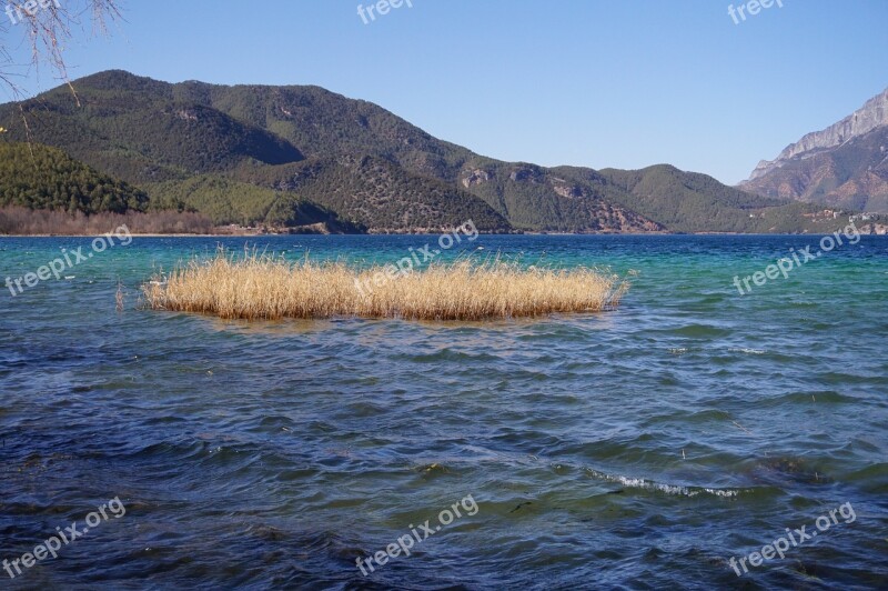 Reed Lugu Lake Blue Water Landscape