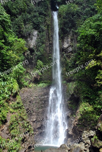 Dominica Waterfall Rainforest Hiking National Park