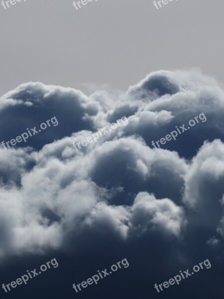 Fern Cumulonimbus Rain Free Photos