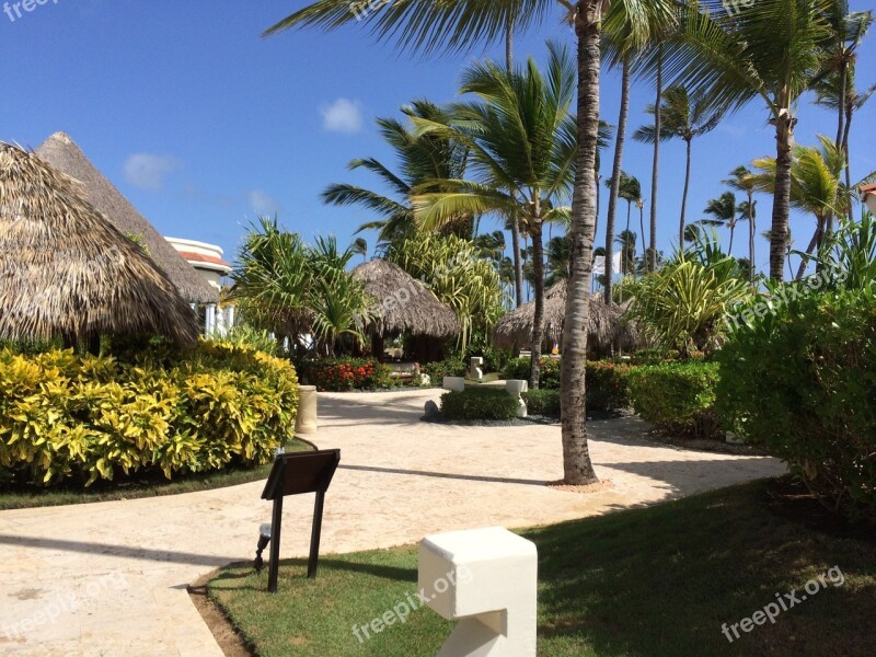 Garden Flower Garden Flowers Resort Punta Cana