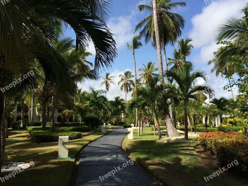 Garden Flower Garden Flowers Resort Punta Cana