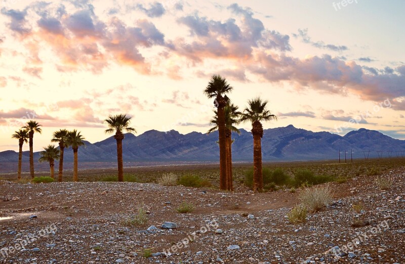 Usa Palm Trees Vacations Sky Free Photos