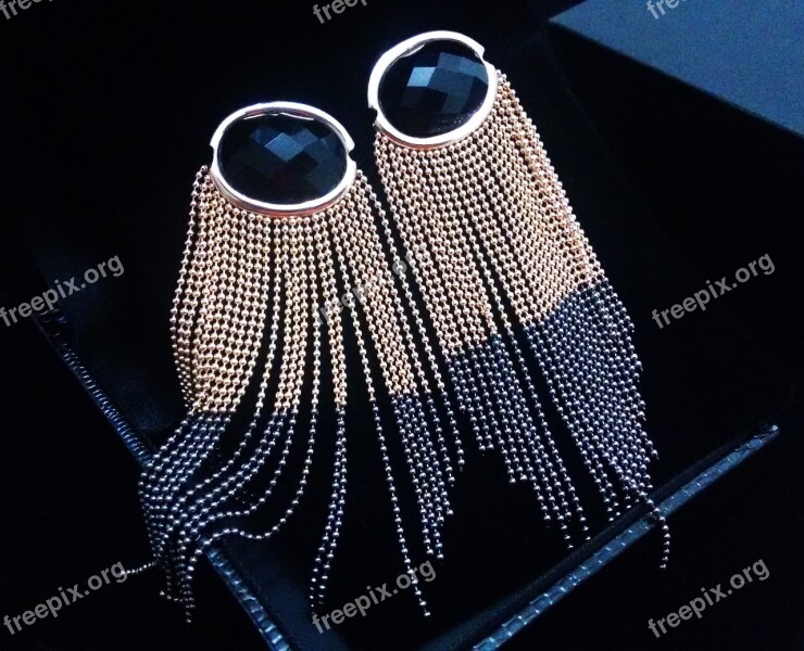 Fringe Earring Earring Semijoia Jewelry Store Free Photos