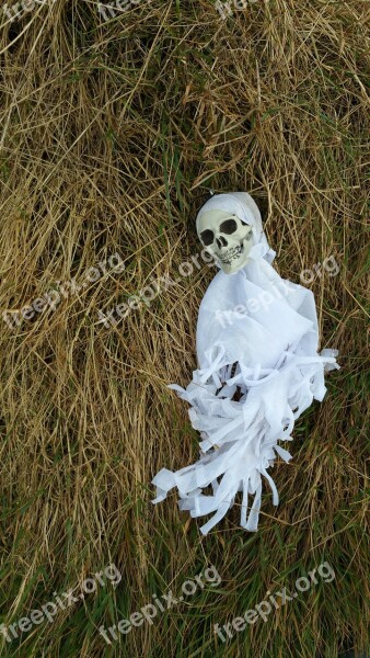 Skull Halloween White Hay Decore