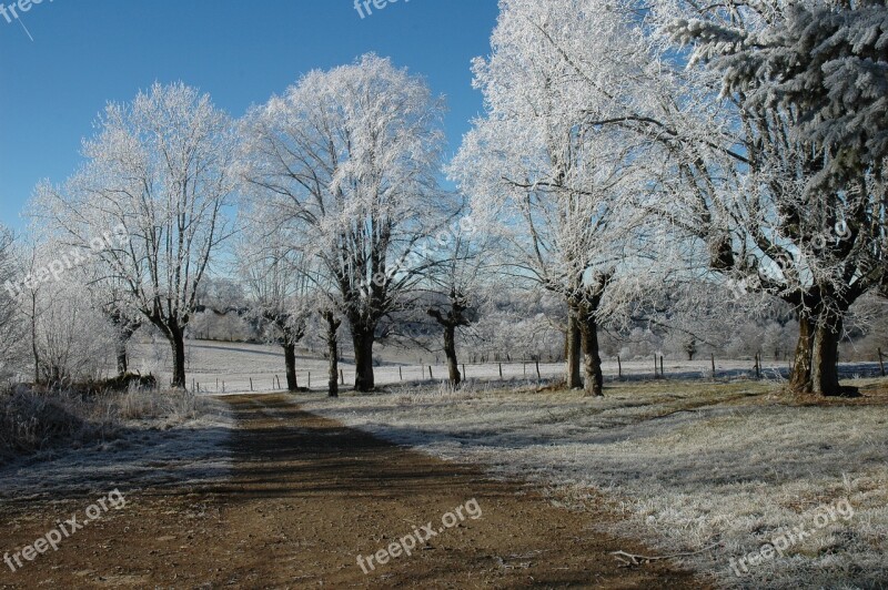 Landscape Winter Hoarfrost Frost Nature