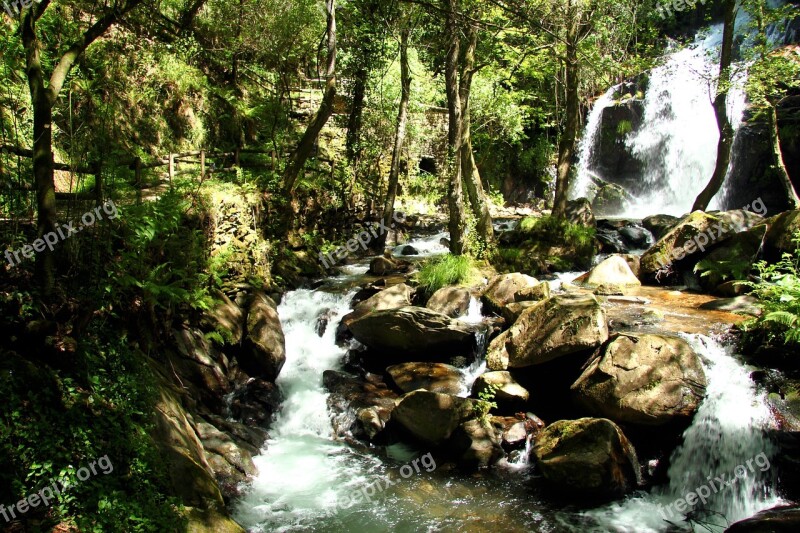 Cascade Sever Cabreia Vouga Forest