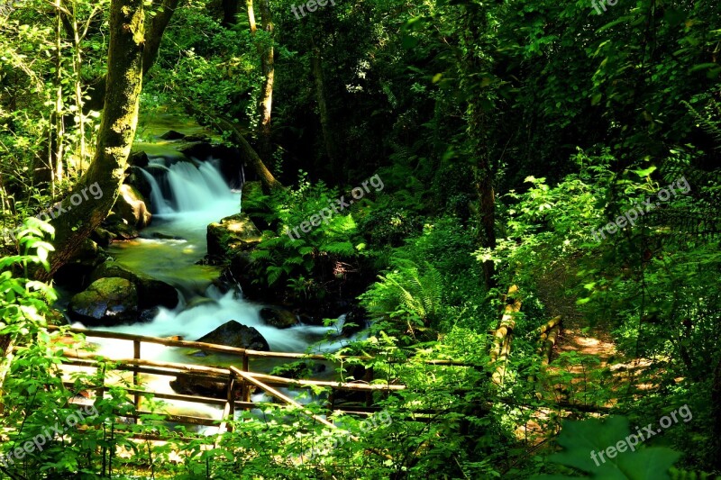 Cascade Sever Cabreia Vouga Forest