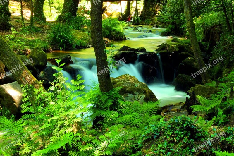 Cascade Sever Cabreia Vouga Forest