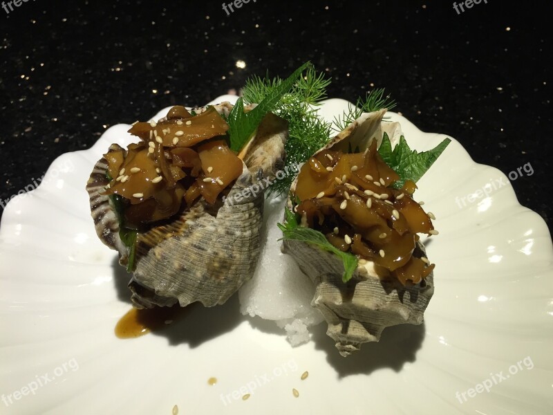 Seafood Shell Food Exquisite Gourmet Conch