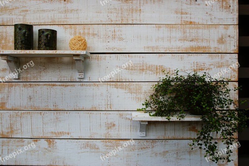 Still Life Potted Plants Planting Mug Plank