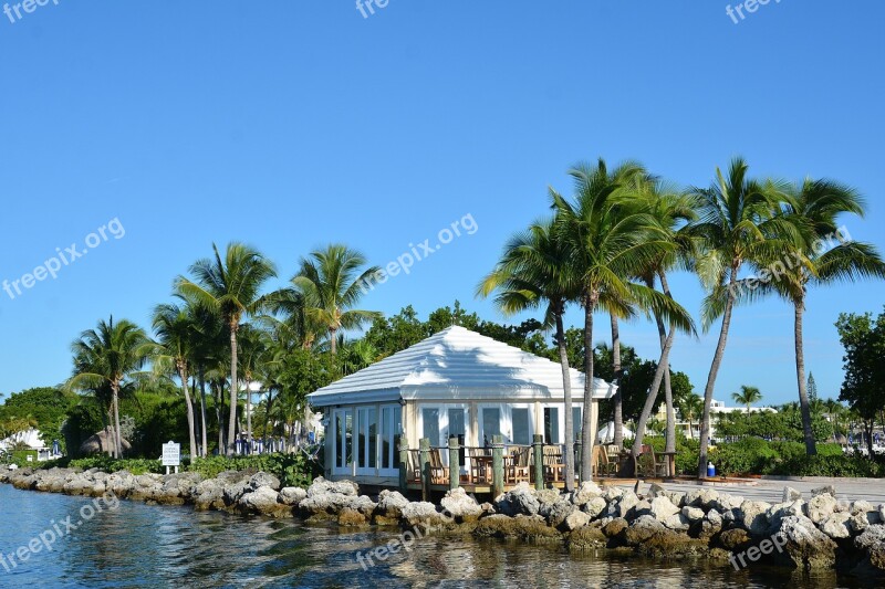 Sea Wide Palm Trees Free Photos