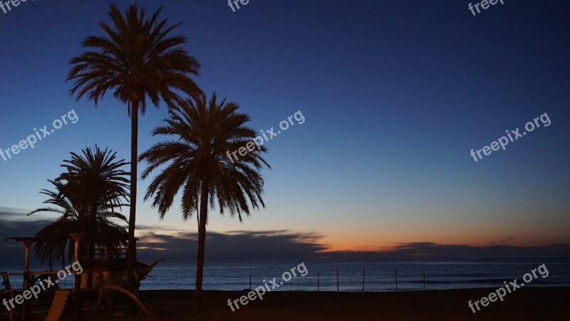 Marbella Spain Sunrise Palms Seaside