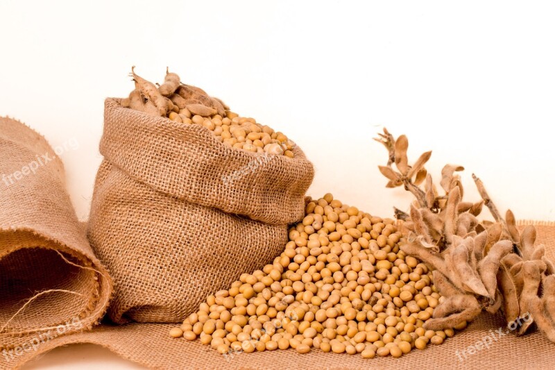 Soybeans Plants Seeds Bag Burlap