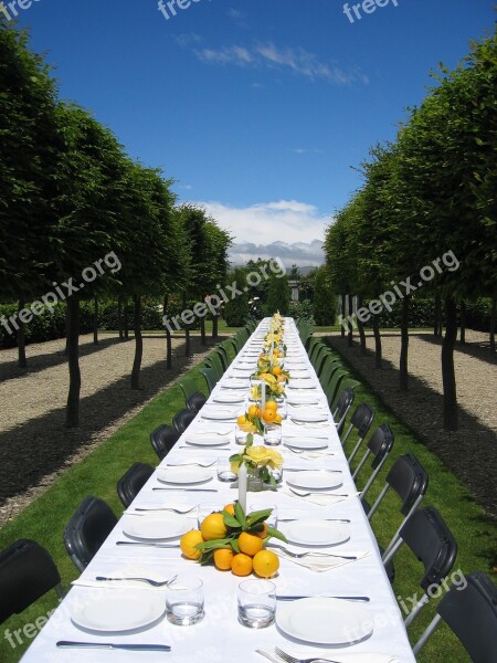 Table Dinning Outdoors Wedding Setting