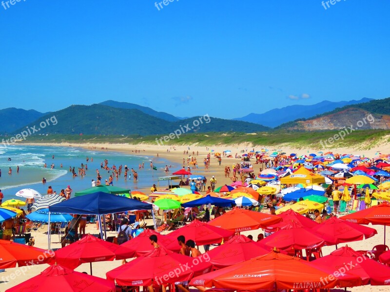 Beach Joaquina Summer Heat Sol