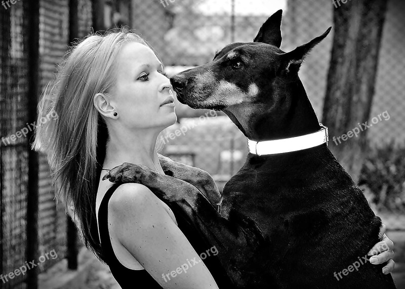 Hug Doberman Blonde Woman Friendship Love