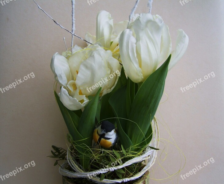 White Tulips Bulbous Plant Spring Flower Free Photos