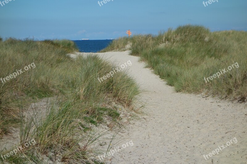 Sand Road Dune Sand Dunes Dune Landscape Dune Ridge