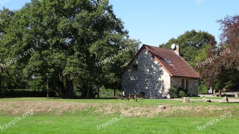 Nature House Isolated Form Burgundy Tree