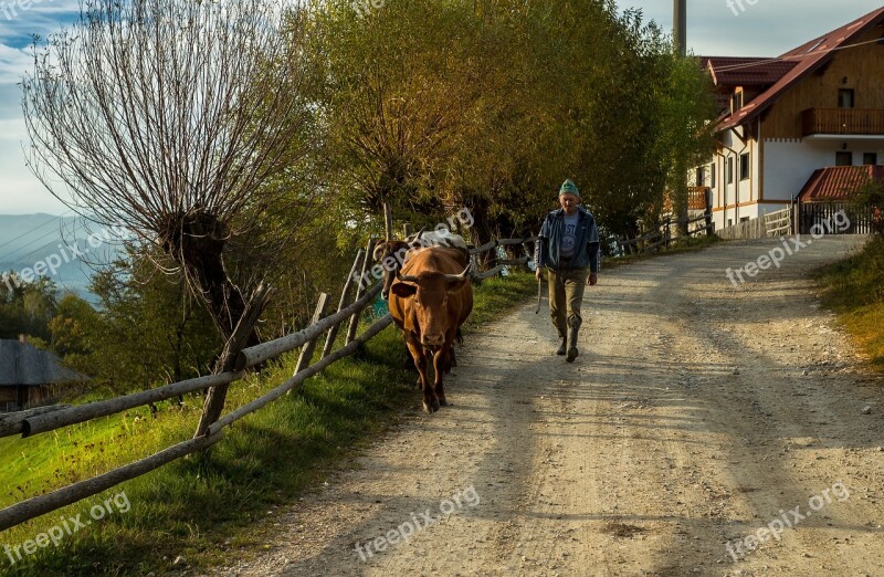 Pastoral Magura Village Romania Free Photos