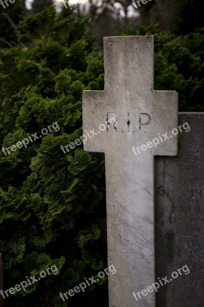 Grave Cemetery Rip Tombstone D