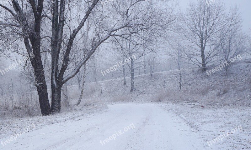 Landscape View Nature Tree Winter