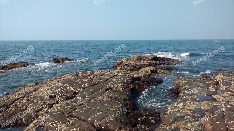 Sea Seashore Beach Nature Vacation