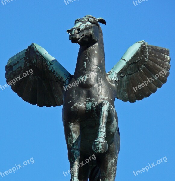 Pegasos Latin Pegasus Rarely Even Pegasos Mythology Greek Saying