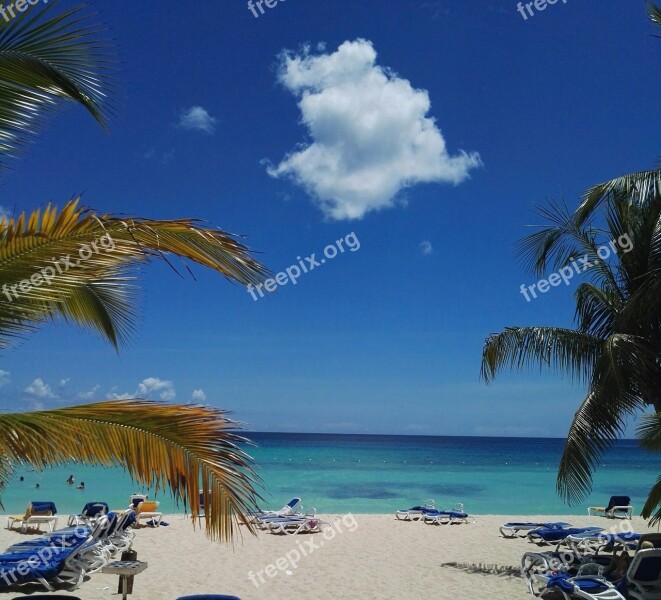 Caribbean Beach Sea Palm Trees Rest