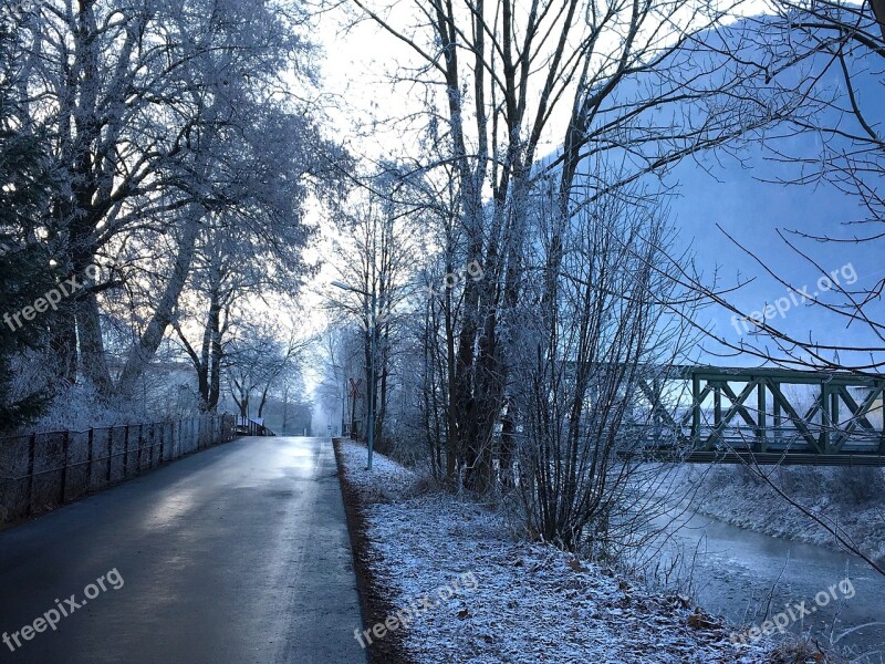 Winter Wintry Backlighting Hoarfrost Cold