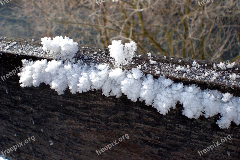 Ripe Winter Hoarfrost Frozen Cold