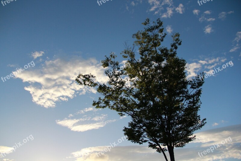 Hiroki Japan Evening View Blue Sky Green