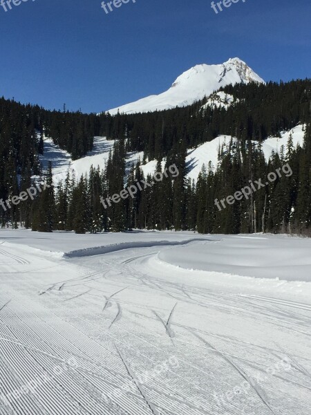 Mt Hood Nordic Cross Country Free Photos