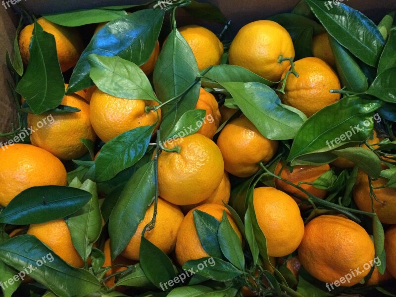 Oranges Fruit Citrus Healthy Organic