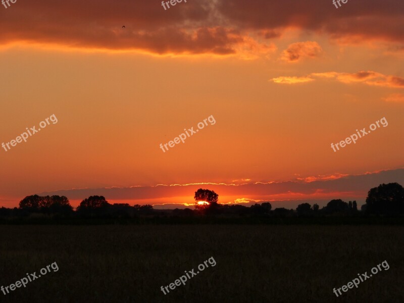 Sunset Red Trees Evening Sun Sky