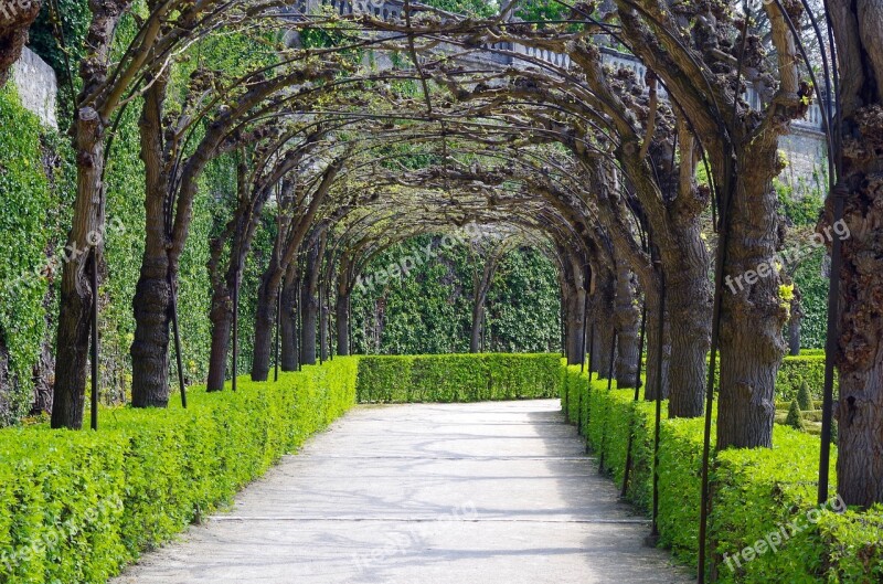 Avenue Garden Trees Park Castle Park