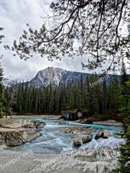 Rapids Waterfall Cascades Scenery Environment