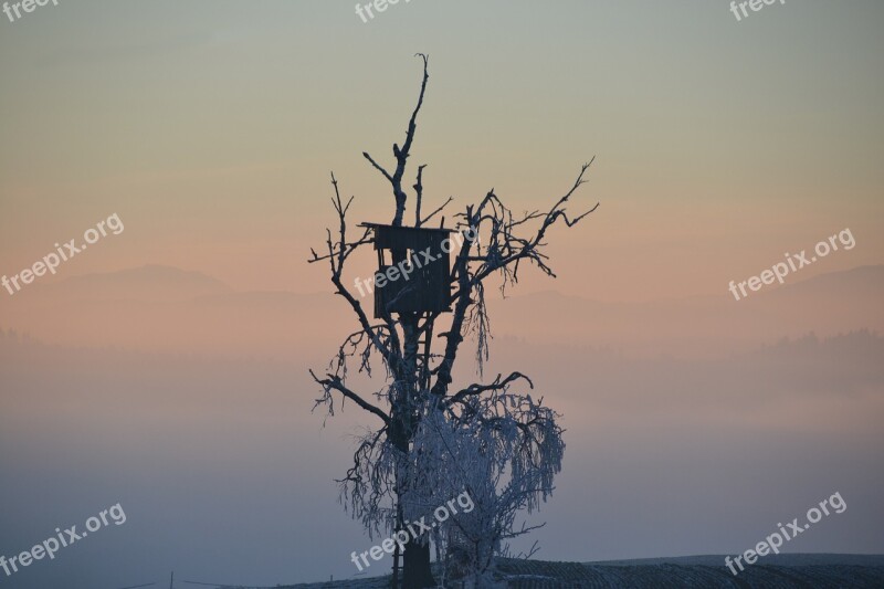 Treehouse Tree Sky Nature Tree Hut