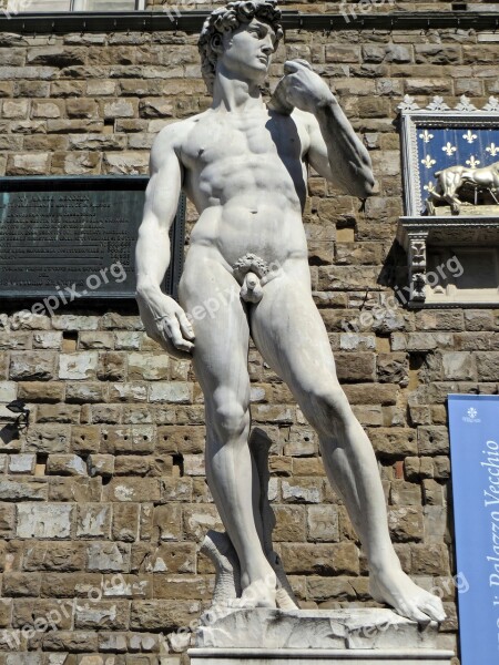 Italy Florence David Michelangelo Palazzo Vecchio