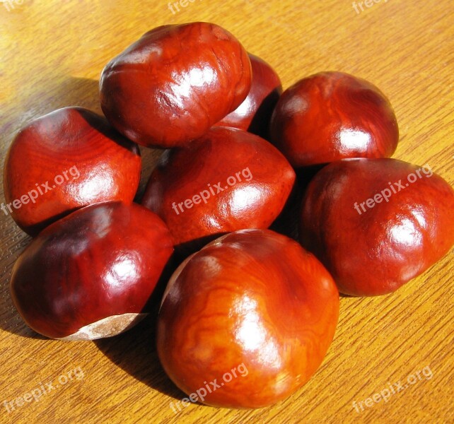 Food Chestnut Nuts Free Photos