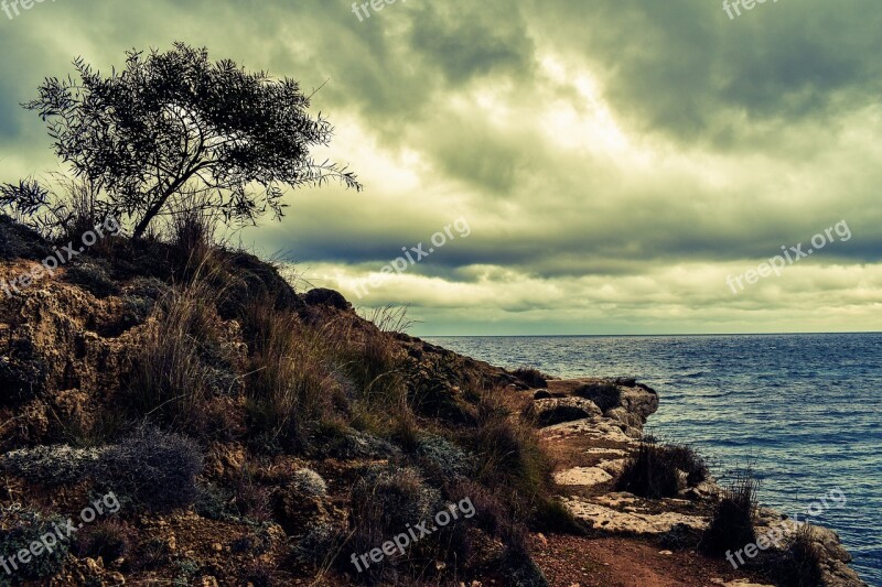 Cyprus Kapparis Cliff Cove Coastal Path