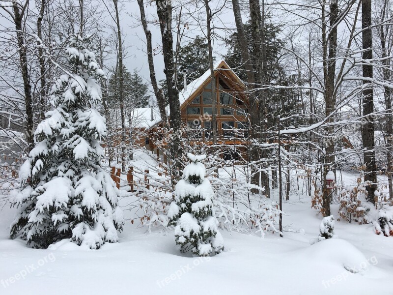 Winter Forest Snow Chalet Nature Snowfall